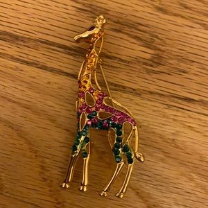 Colorful giraffe brooch- NWOT
